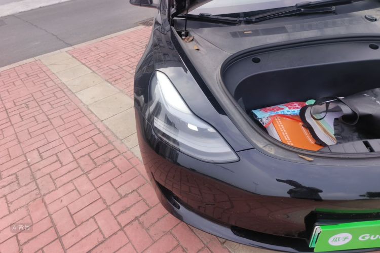 Tesla Model 3 2021 car image #8