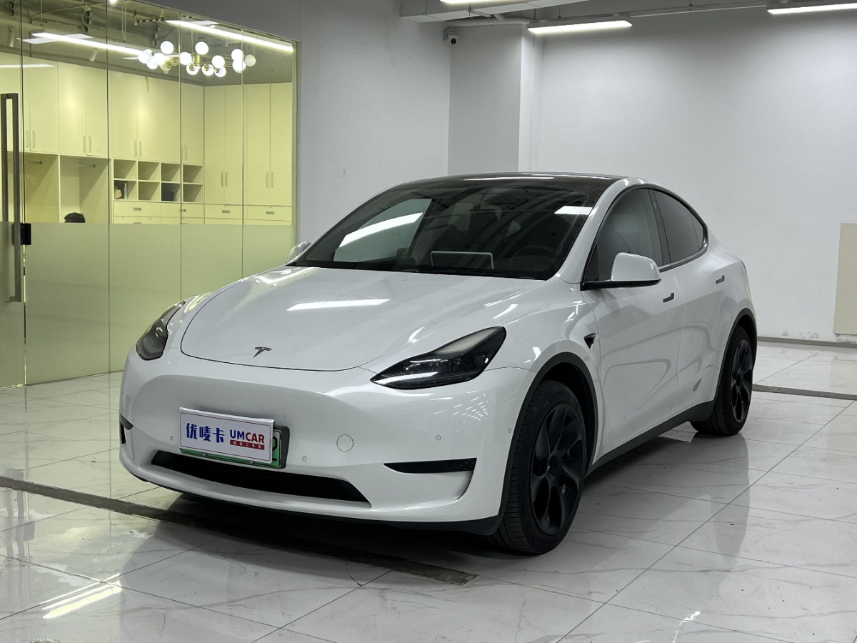 Tesla Model Y 2023 car image 