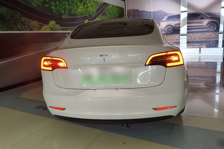 Tesla Model 3 2020 car image #6