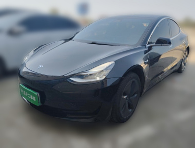 Tesla Model 3 2020 Tesla Model 3 2020 car image