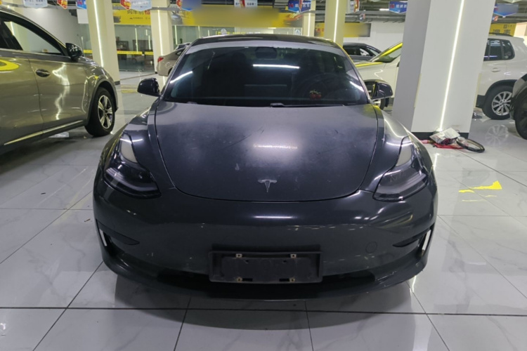Tesla Model 3 2021 #3 Tesla Model 3 2021 car image #3