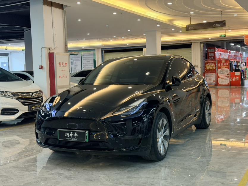 Tesla Model Y 2021 Tesla Model Y 2021 car image