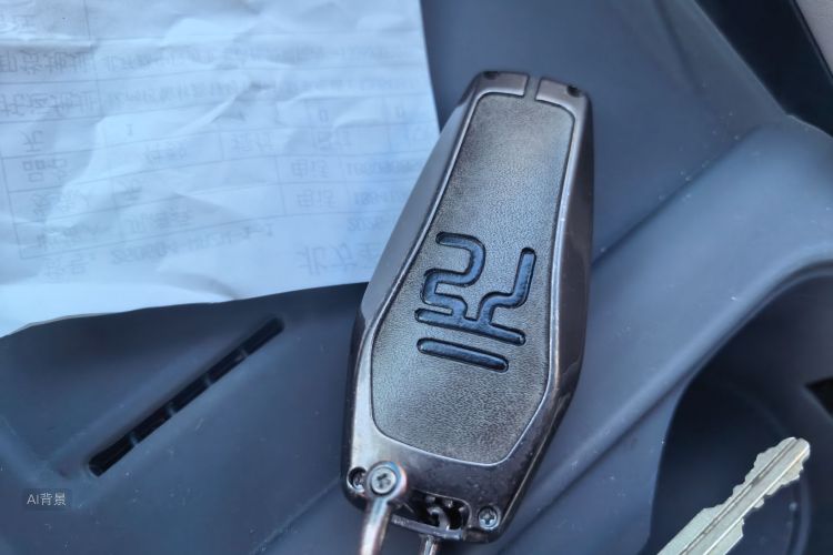BYD Yuan Plus 2025 car image #10
