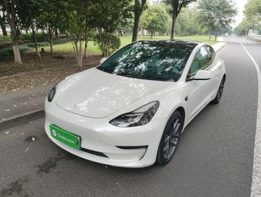 Tesla Model 3 2021 Tesla Model 3 2021 immagine di auto