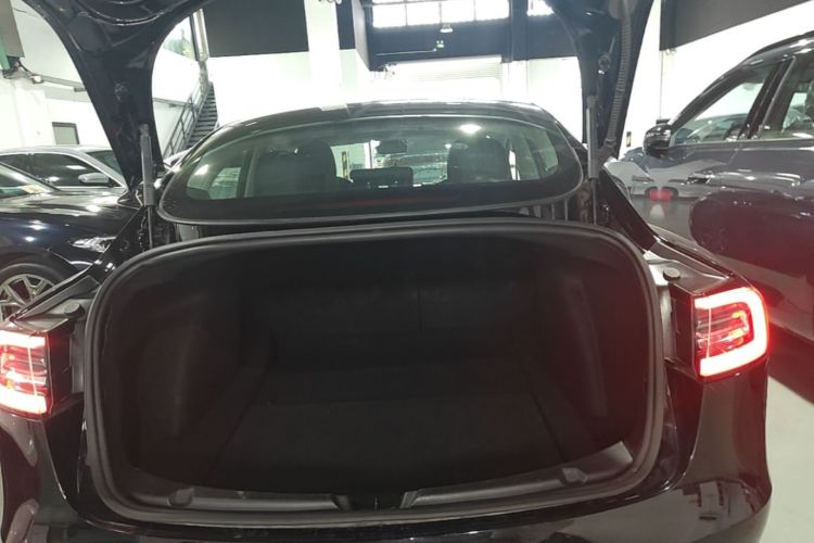 Tesla Model 3 2020 #19 Tesla Model 3 2020 car image #19