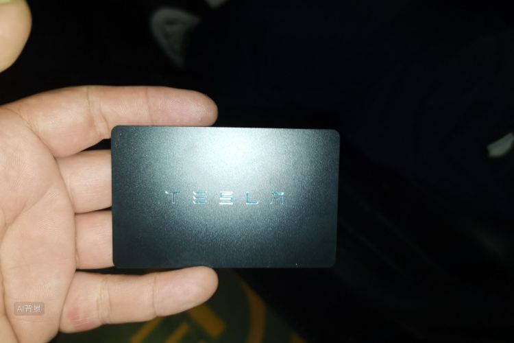 Tesla Model Y 2023 #10 Tesla Model Y 2023 car image #10