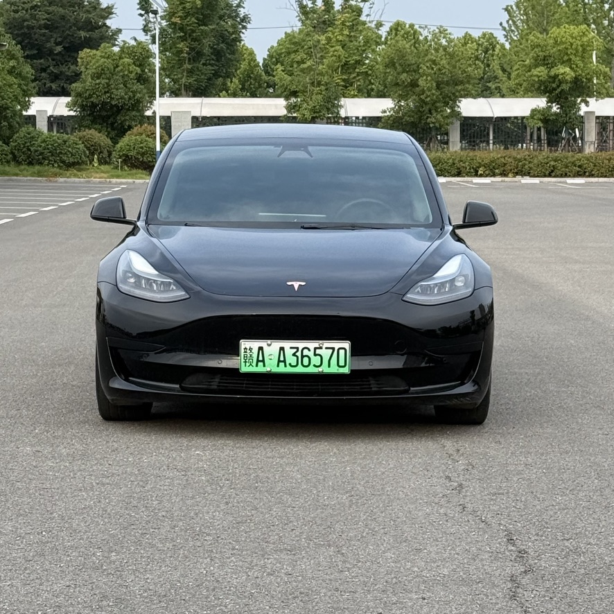 Tesla Model 3 2021 #10 Tesla Model 3 2021 car image #10