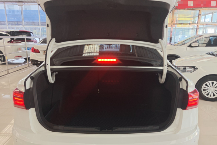 Volkswagen Bora 2021 immagine di auto #19