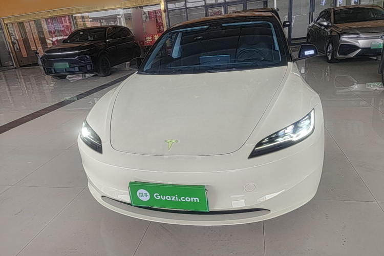 Tesla Model 3 2023 #3 Tesla Model 3 2023 car image #3