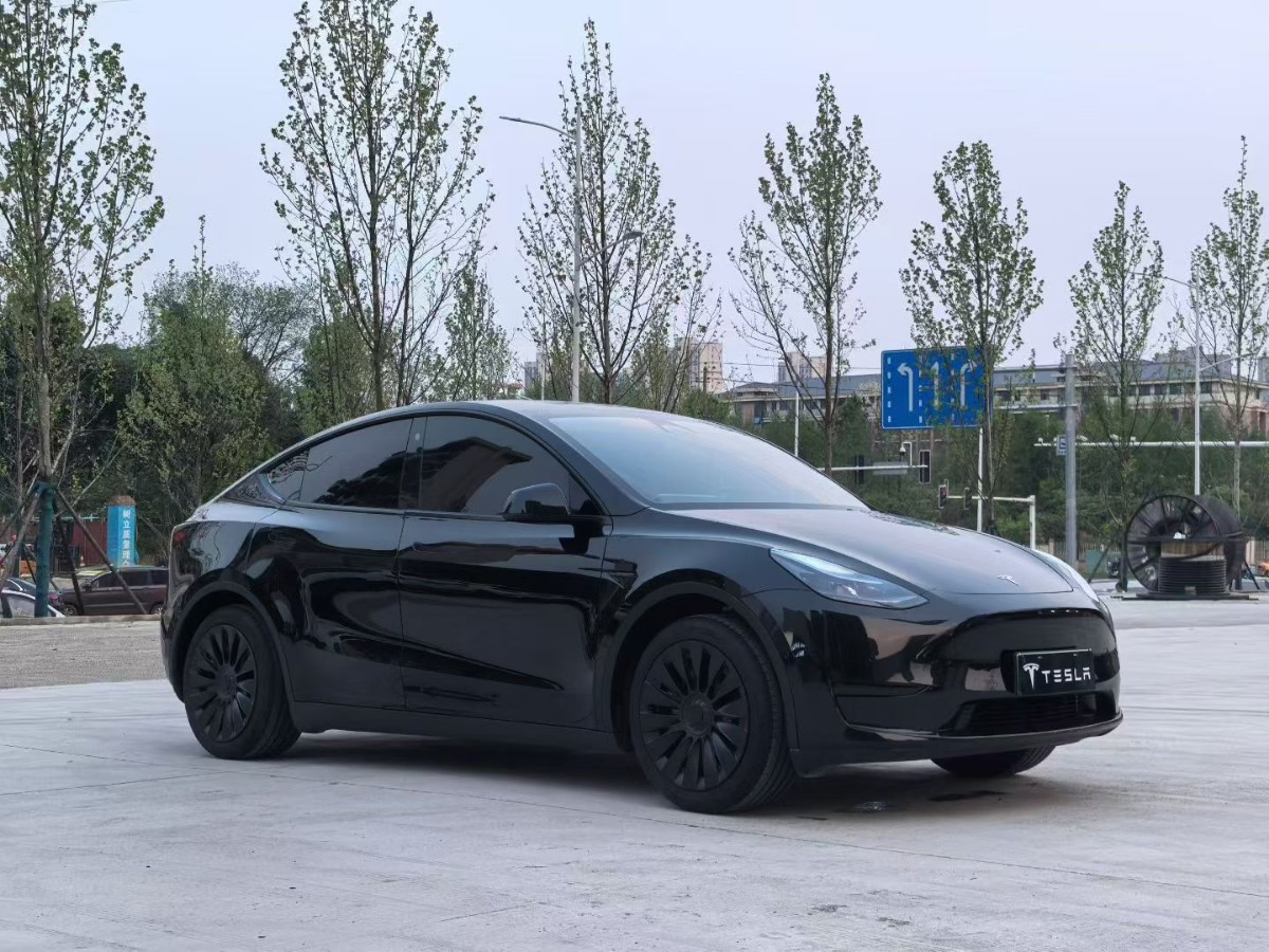 Tesla Model Y 2023 #3 Tesla Model Y 2023 car image #3