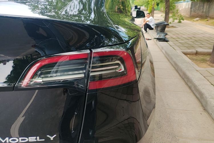 Tesla Model Y 2023 #8 Tesla Model Y 2023 car image #8