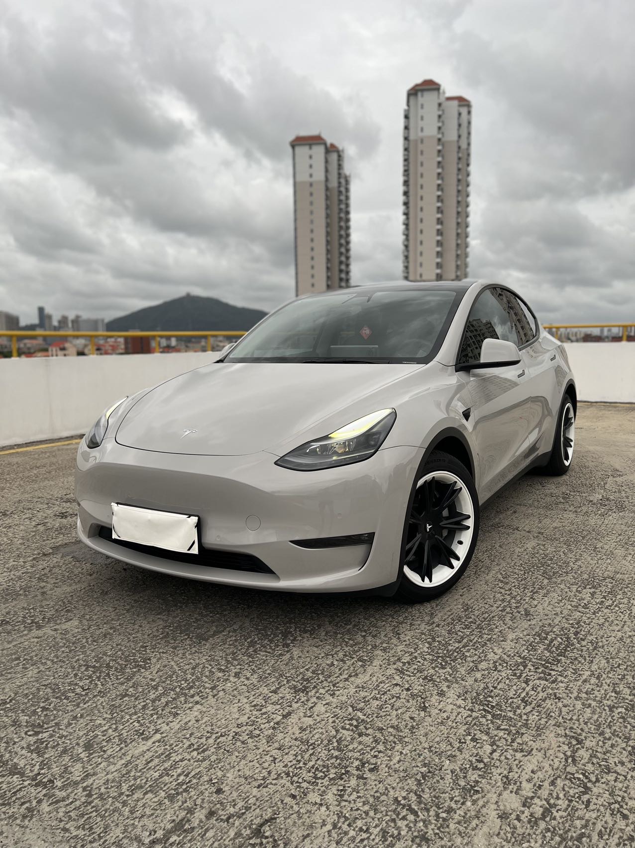 Tesla Model Y 2021 Tesla Model Y 2021 car image