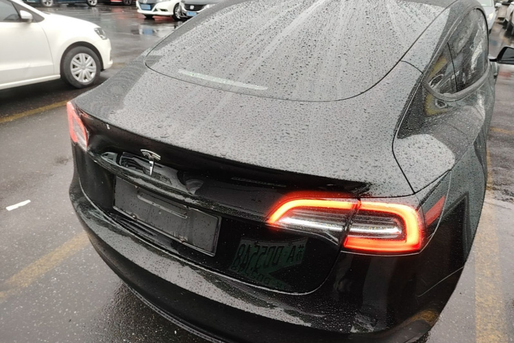Tesla Model 3 2021 car image #4