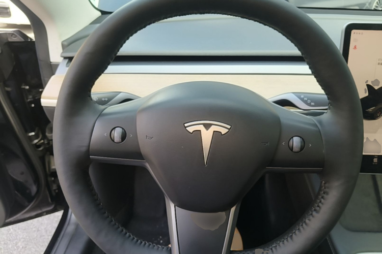 Tesla Model 3 2022 car image #20
