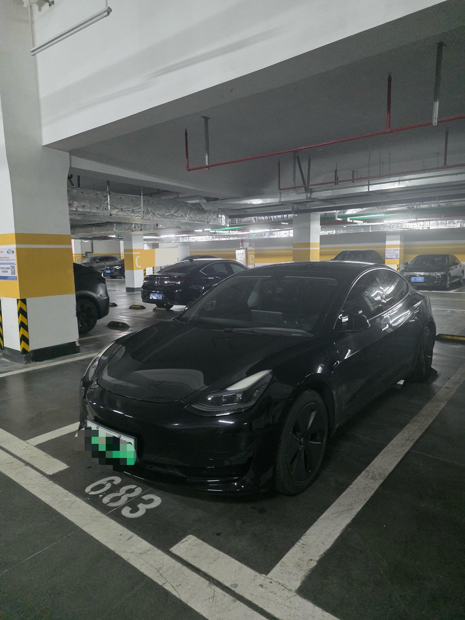 Tesla Model 3 2022 car image 