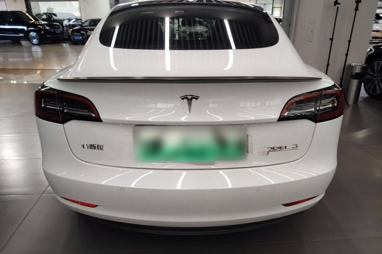 Tesla Model 3 2021 #6 Tesla Model 3 2021 car image #6