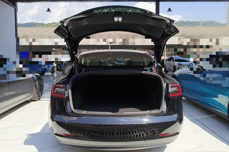 Tesla Model 3 2021 car image #19