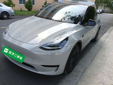 Tesla Model Y 2023 Tesla Model Y 2023 car image