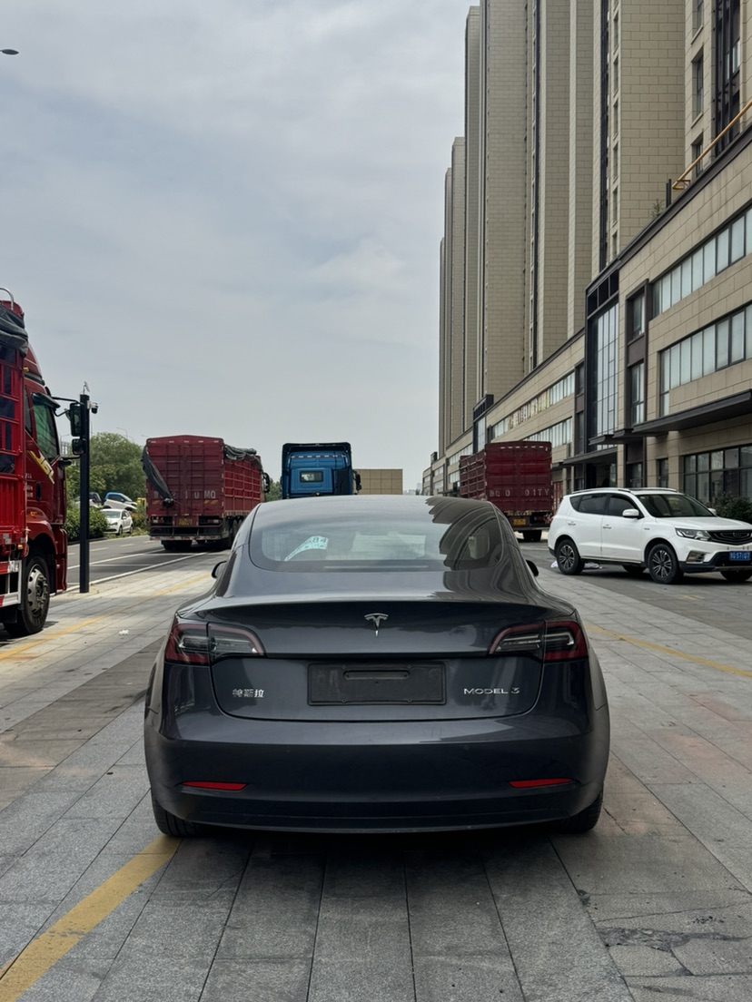 Tesla Model 3 2020 car image #7