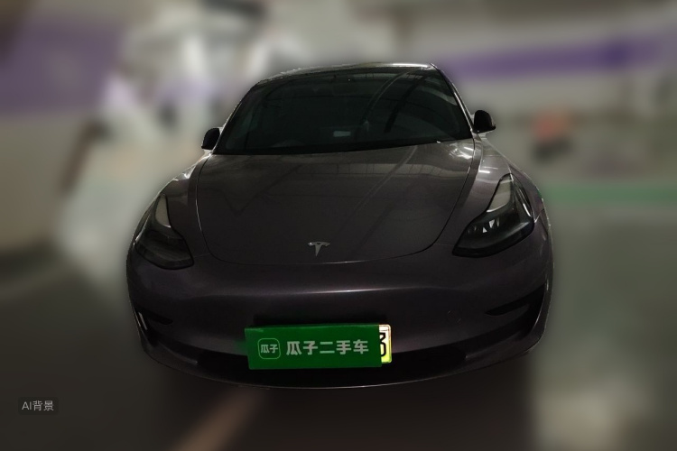 Tesla Model 3 2022 #3 Tesla Model 3 2022 car image #3