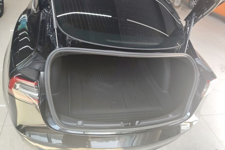 Tesla Model 3 2020 car image #19
