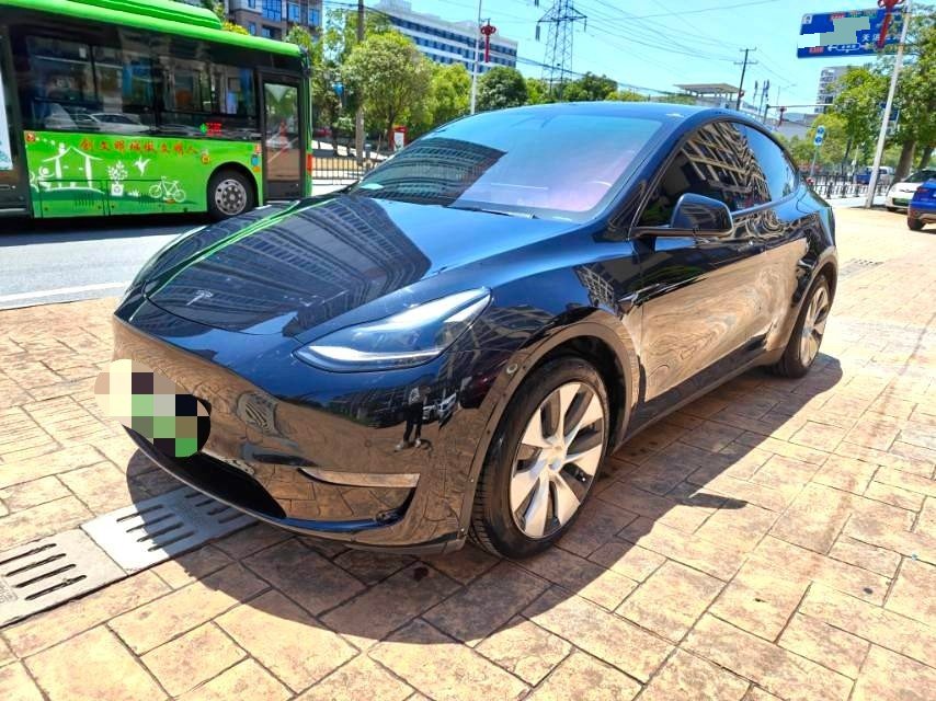 Tesla Model Y 2022 Tesla Model Y 2022 car image
