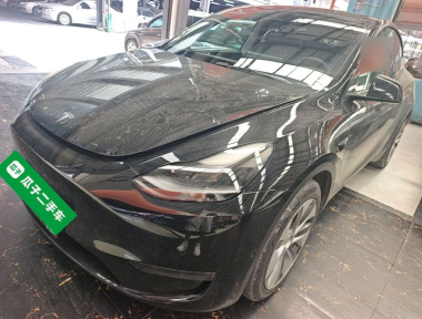 Tesla Model Y 2021 Tesla Model Y 2021 immagine di auto