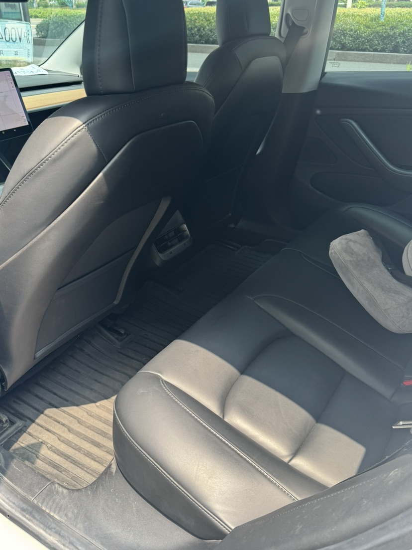 Tesla Model 3 (Imported) 2019 car image #6