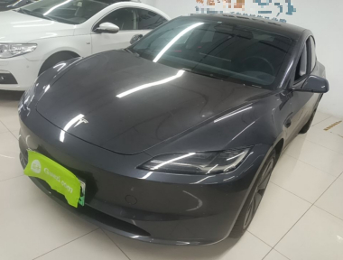 Tesla Model 3 2024 Tesla Model 3 2024 car image