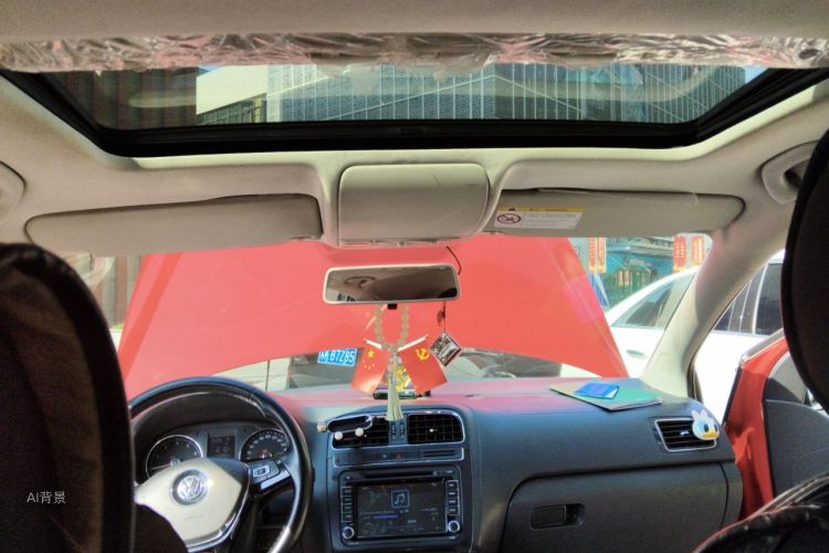 Volkswagen Polo 2016 car image #20