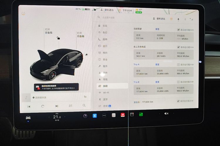 Tesla Model 3 2021 imagem de carro #12