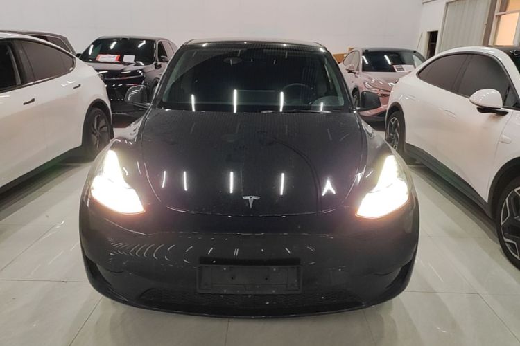 Tesla Model Y 2023 #3 Tesla Model Y 2023 car image #3