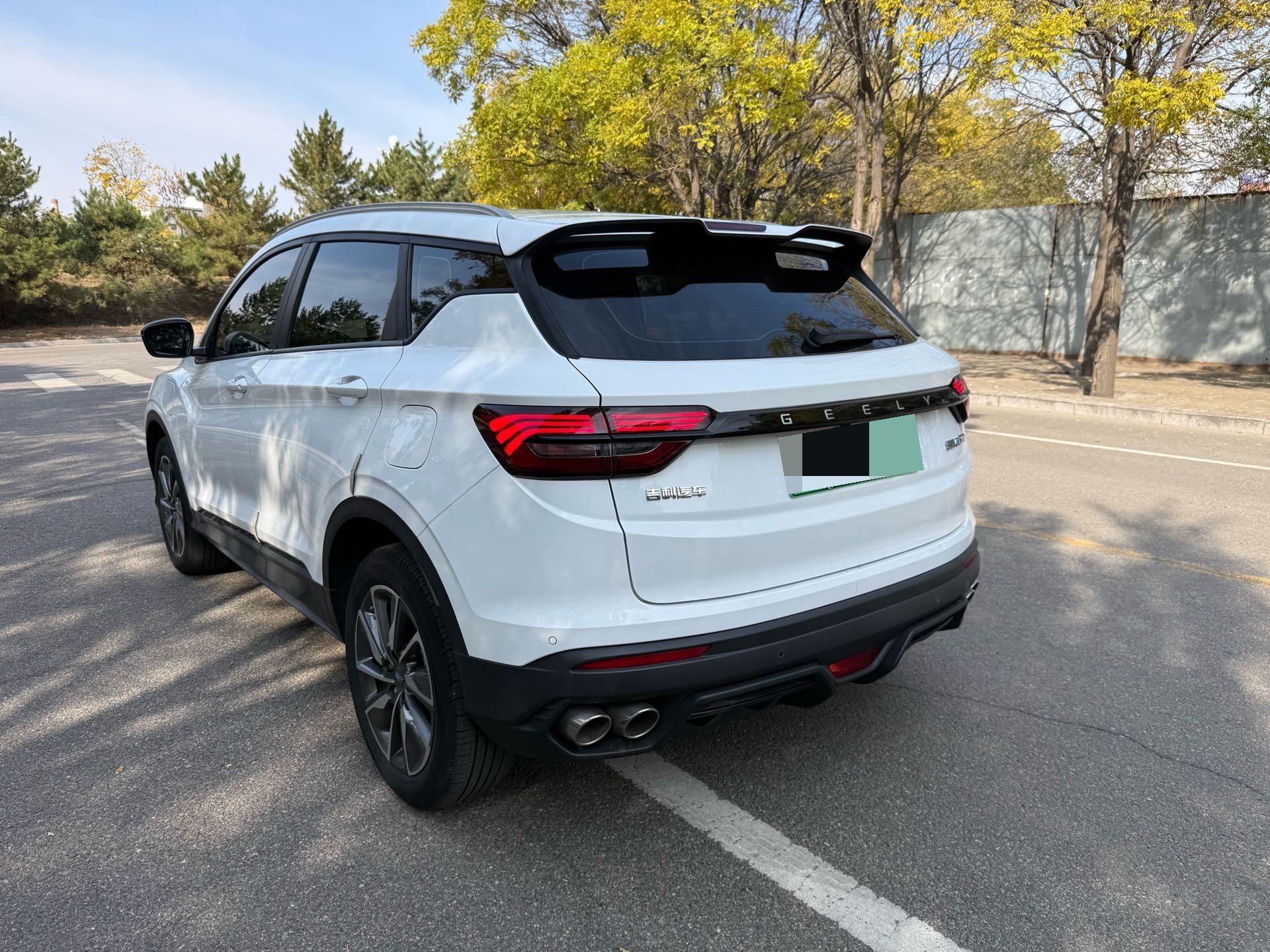 GEELY Coolray New Energy 2021 immagine di auto #7