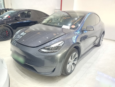 Tesla Model Y 2021 car image 