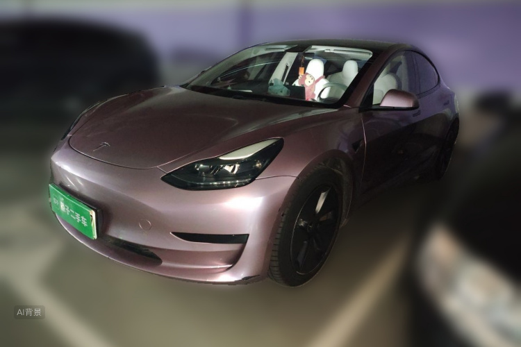 Tesla Model 3 2022 #2 Tesla Model 3 2022 car image #2