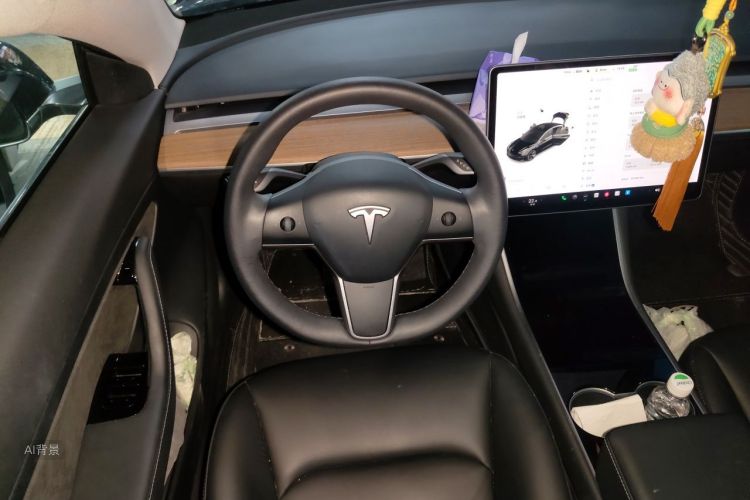 Tesla Model 3 2020 immagine di auto #12