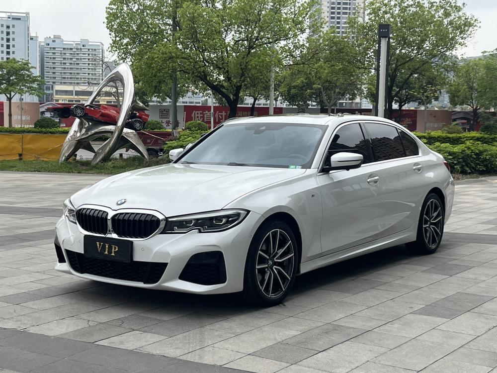 BMW 3 Series 2019 BMW 3 Series 2019 car image