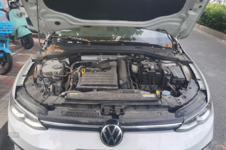 Volkswagen Golf 2022 #22 Volkswagen Golf 2022 car image #22