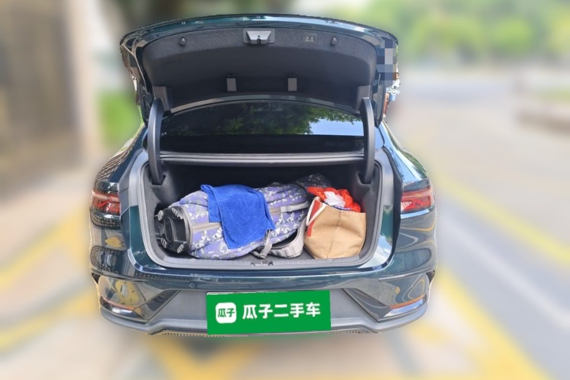 BYD Han 2022 #8 BYD Han 2022 immagine di auto #8