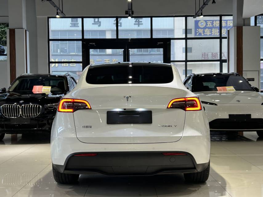 Tesla Model Y 2022 #13 Tesla Model Y 2022 car image #13