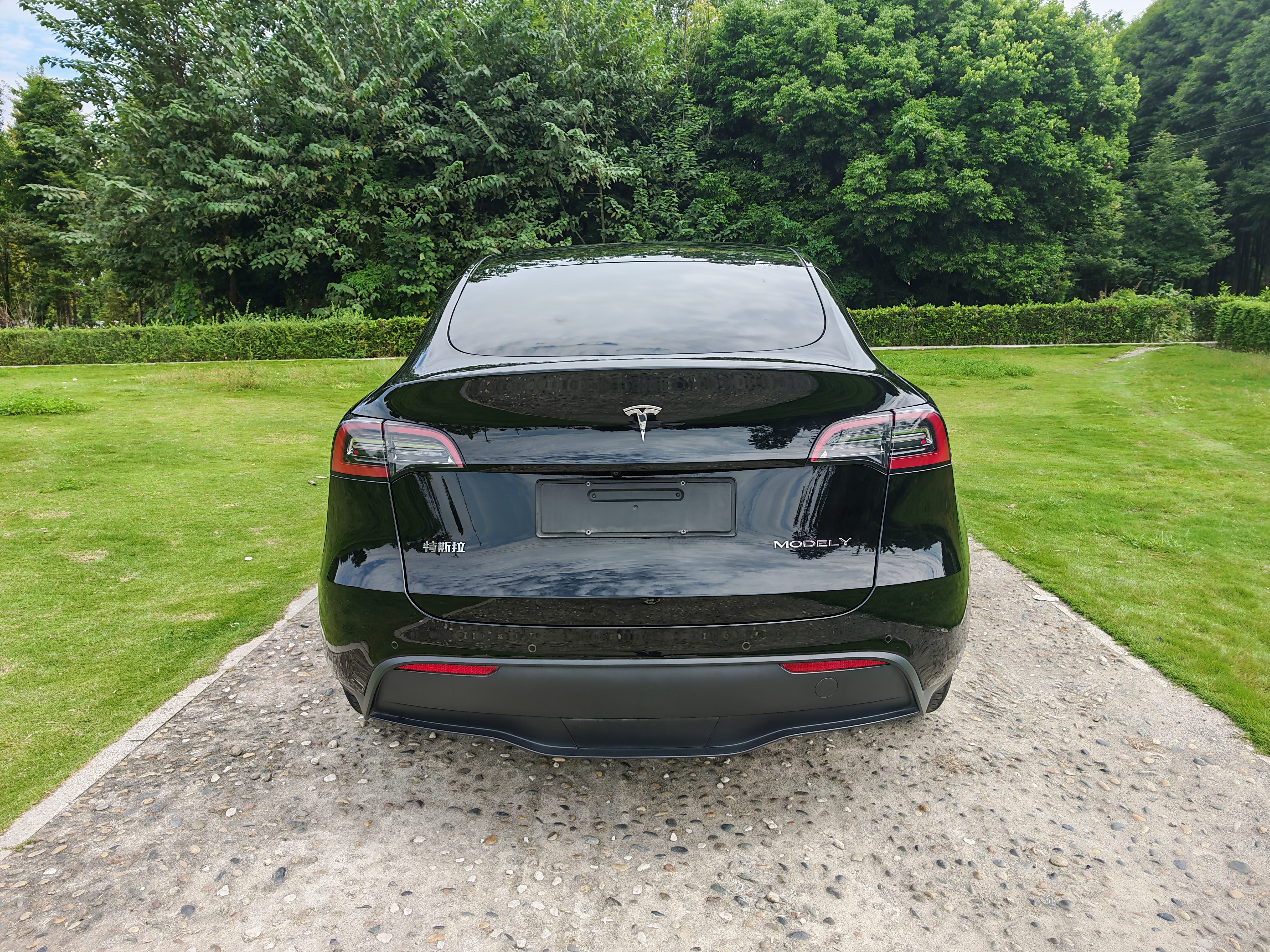 Tesla Model Y 2023 car image #5