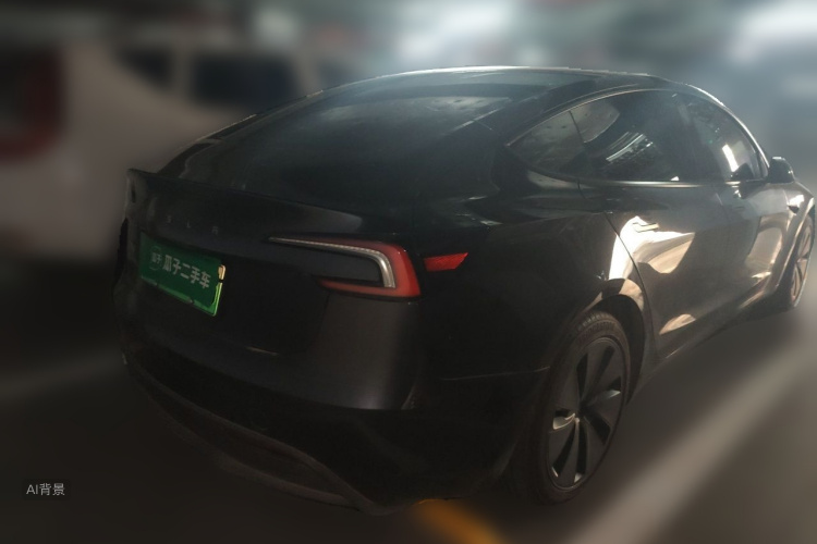 Tesla Model 3 2025 car image #7