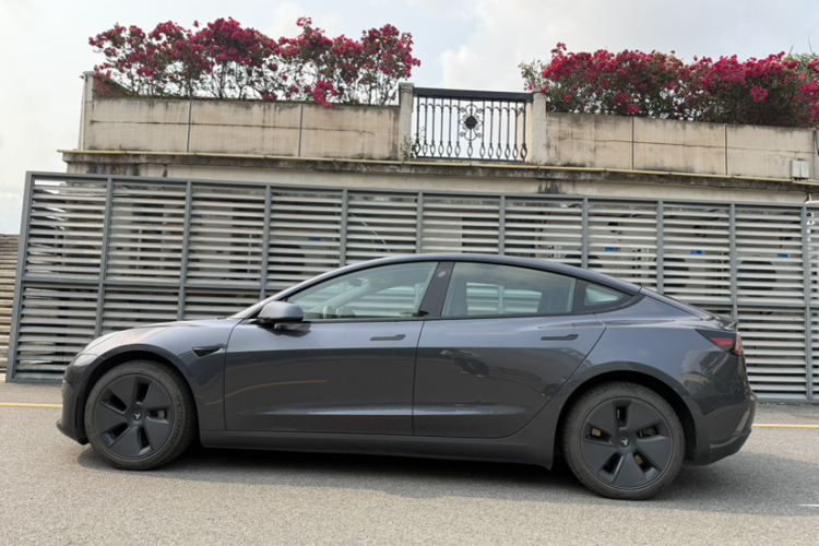 Tesla Model 3 2021 #13 Tesla Model 3 2021 immagine di auto #13