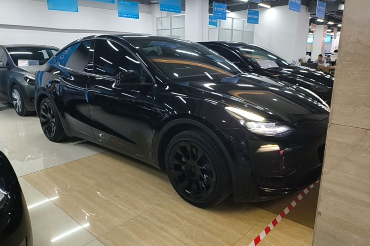 Tesla Model Y 2023 #6 Tesla Model Y 2023 car image #6