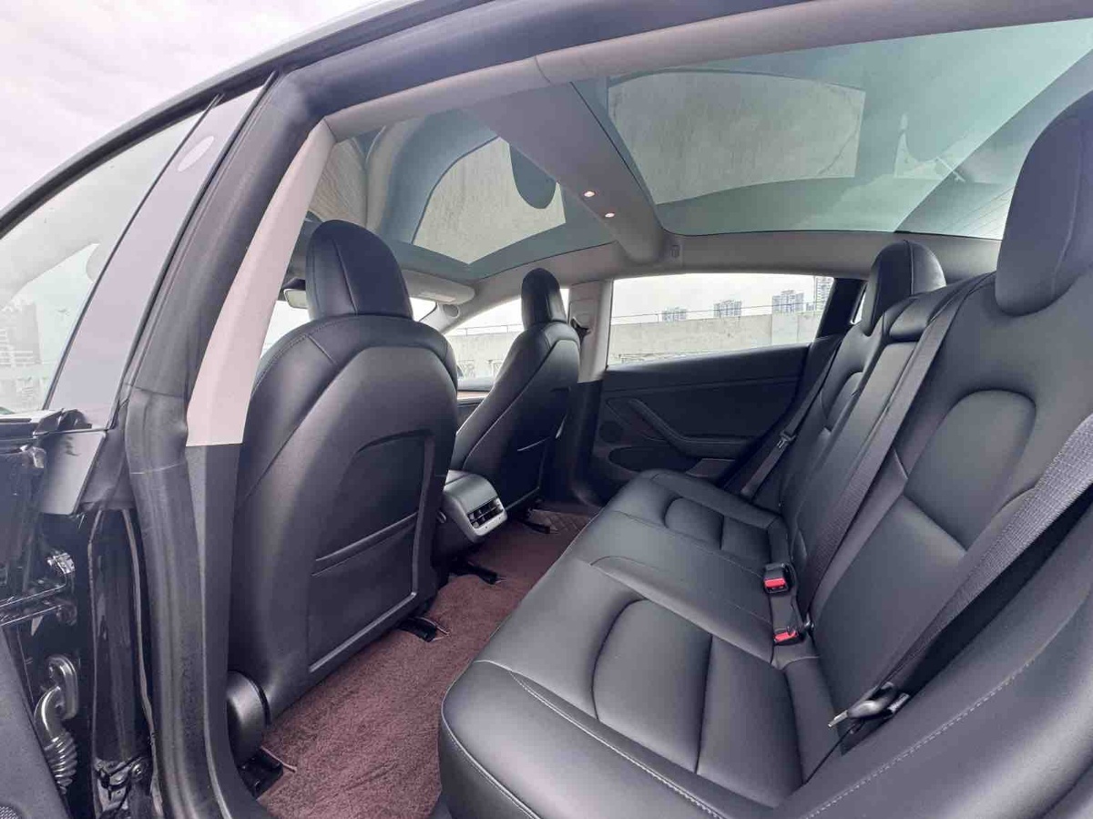 Tesla Model 3 2022 car image #8