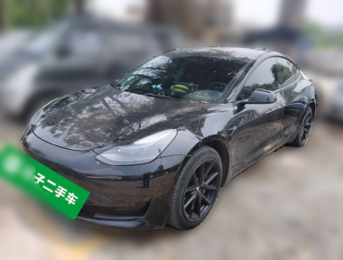 Tesla Model 3 2022 Tesla Model 3 2022 car image
