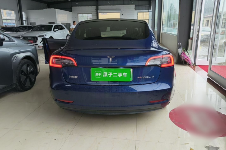 Tesla Model 3 2020 car image #6