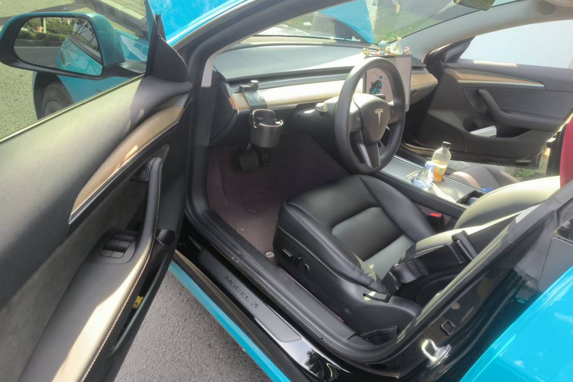 Tesla Model 3 2021 car image #23