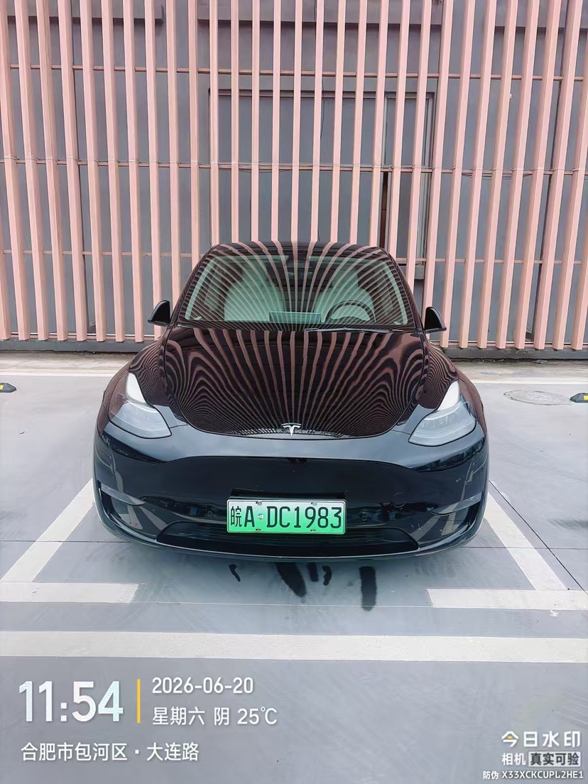 Tesla Model Y 2021 car image 