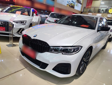 BMW 3 Series 2020 car image 